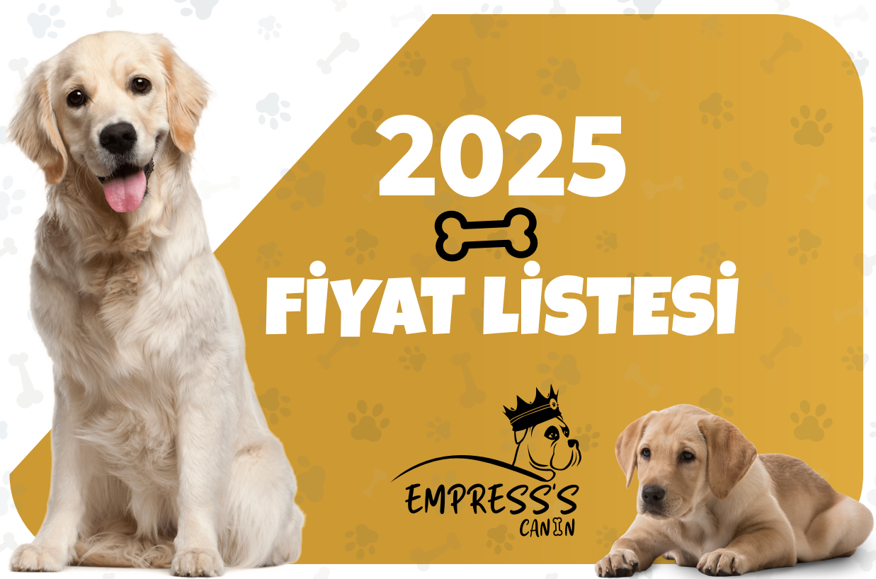 2025 Ürün Katalogu